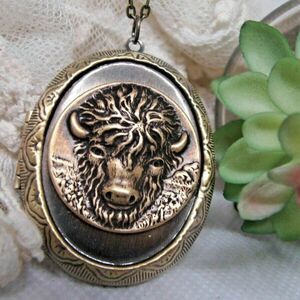 Native American western Southwest BRONZE ANTIQUE BUFFALO NECKLACE PENDANT Locket